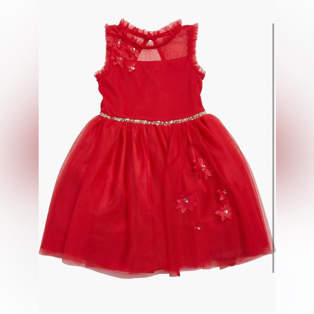 Zunie Red Tulle Dress with Floral & Gold Accents